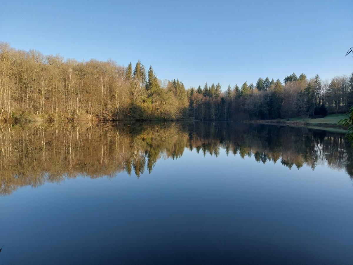 "Le Petit Bonheur" Gite Van 4 Tot 12 Personen Met Prive Vijver Van 2Ha Maisonnais-Sur-Tardoire Kültér fotó