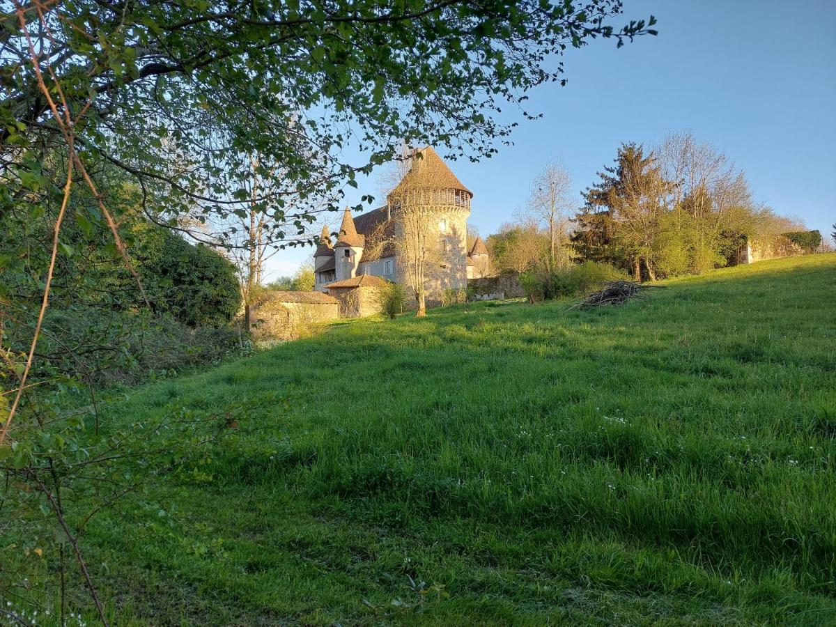 "Le Petit Bonheur" Gite Van 4 Tot 12 Personen Met Prive Vijver Van 2Ha Maisonnais-Sur-Tardoire Kültér fotó